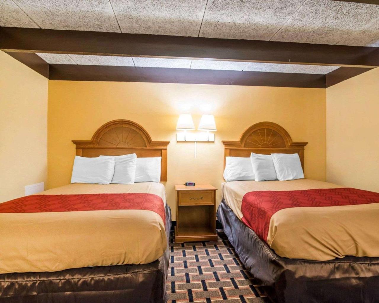 Econo Lodge ニューパルツ エクステリア 写真
